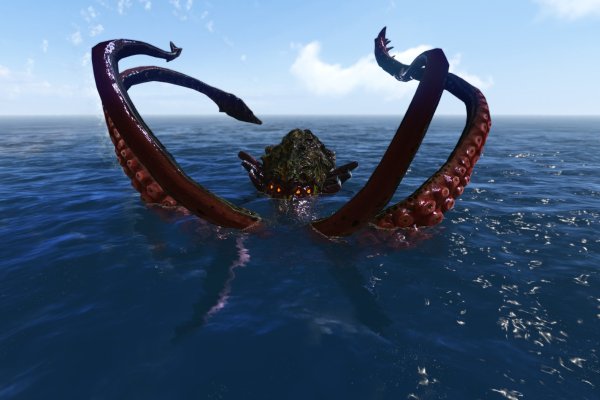 Kraken 20at net