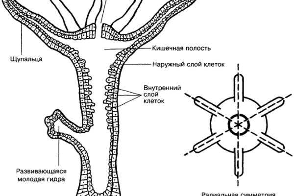 Кракен маркетплейс что это