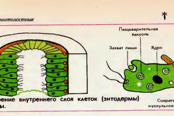 Кракен фишинг